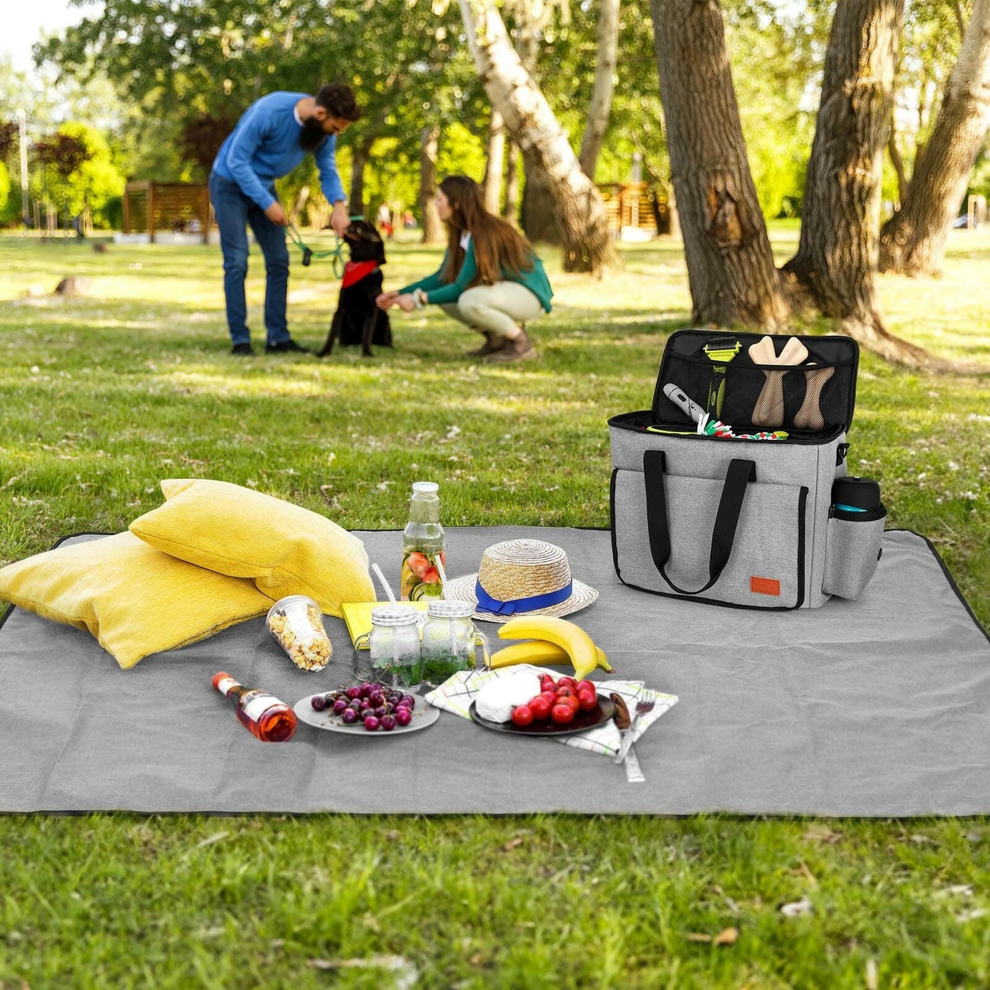 Dog Travel Bag With a Free Picnic Mat